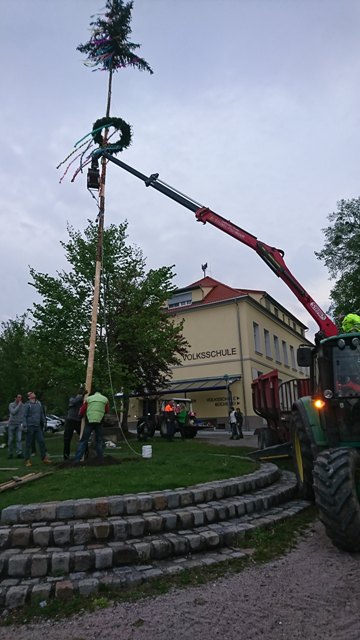 Maibaum3.JPG