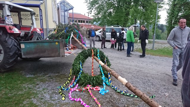 Maibaum2.JPG